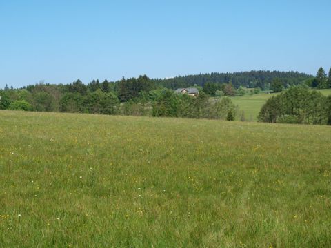 Foto 22